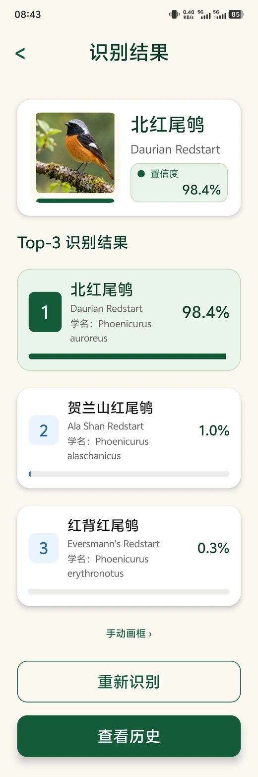 鸟视实际识别结果截图，展示北红尾鸲的 Top-3 结果与手动画框入口